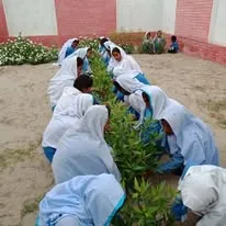 Green Seekers Activity